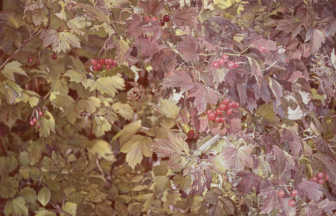 Schneeball blaue Lasur