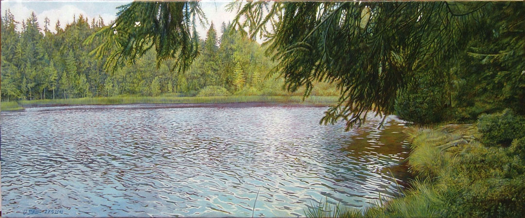 Wald und See
